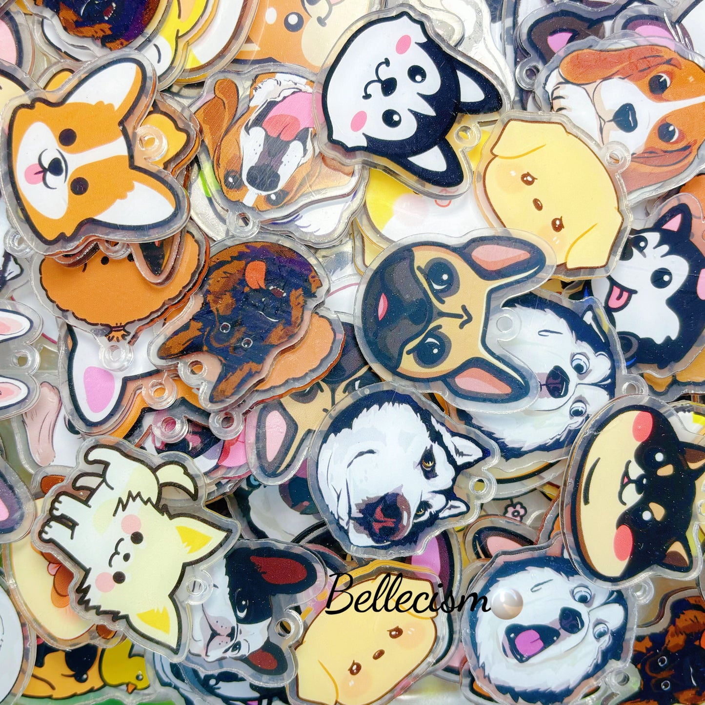 【Perritos】